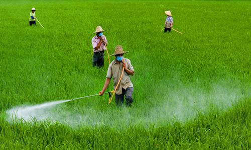殺蟲劑在農(nóng)田中的應(yīng)用