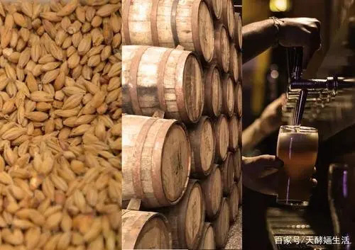 消泡劑在發(fā)酵領(lǐng)域的運(yùn)用